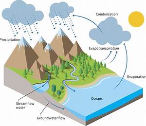 Explanation Of Water Cycle With The Diagram