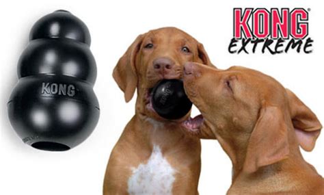 Kong Extreme Original Er Super Slidstærkt Legetøj Til Hunde