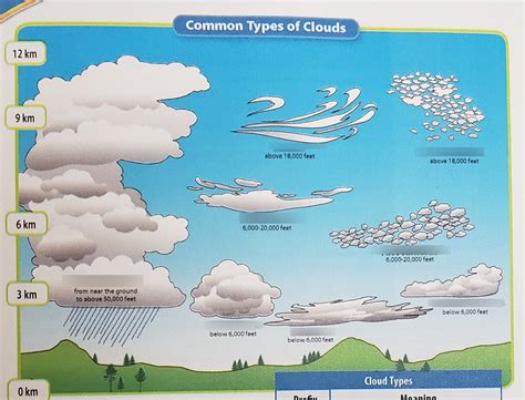 Ch8 L2 Cloud Types Diagram Quizlet