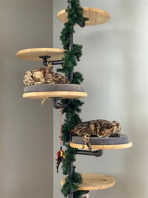 Wooden Cat Tower Floor To Ceiling Cats Have Swanson