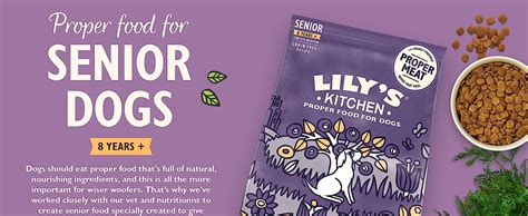 Lilys Kitchen Senior Recipe With Turkey Natural Complete Adult Wet