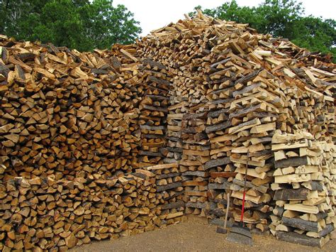 Giant Wood Pile With Rake And Ax Photograph By Donna Wilson