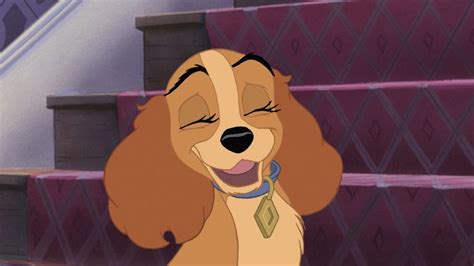 Lady And The Tramp Ii Scamps Adventure 2001 Animation Screencaps