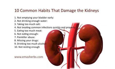 Keeping Kidneys Healthy