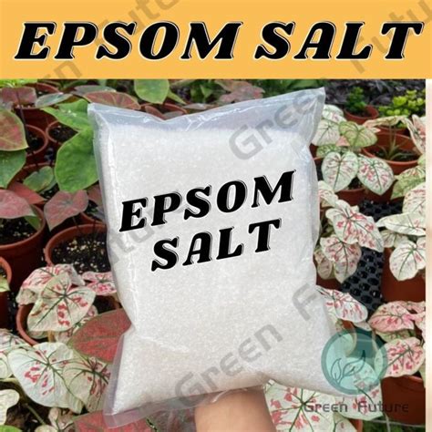 Epsom Salt Organic Fertilizer Baja Organikmagnesium Sulfate