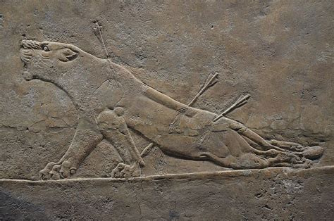 Gypsum British Museum Lions Palace Sculpting Lion Sculpture Lion
