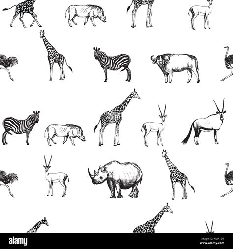 Seamless Pattern Of Hand Drawn Sketch Style African Animals Vector