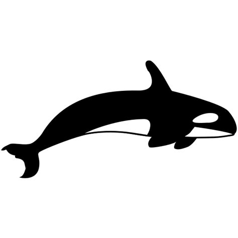 Orca Silhouette Free Svg