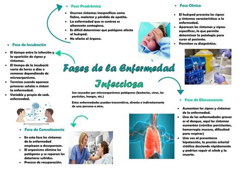 Fases De La Enfermedad Infecciosa Enfermeria Gxn Udocz