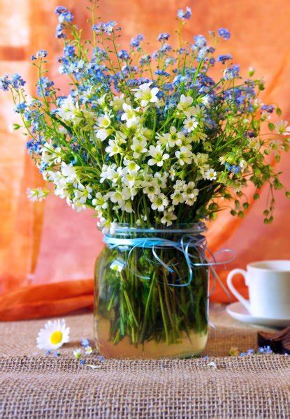 Bouquet Of Blue Cornflowers And Daisies In Jug — Stock Photo