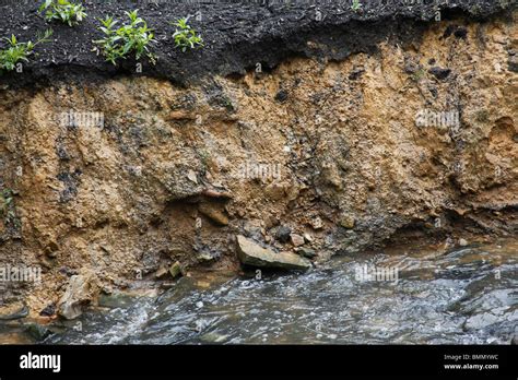 Stream Bank Erosion Causeed By Variable Water Levels Stock Photo Alamy