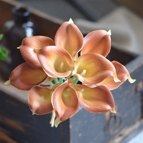 Maybe you would like to learn more about one of these? Brown Calla Lilies Real Touch Flowers For Silk Wedding ...