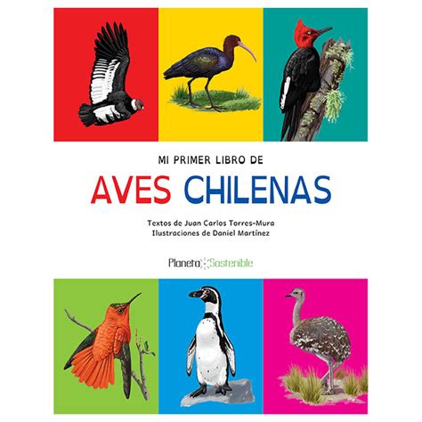 Mi Primer Libro De Aves Chilenas Planeta Sostenible