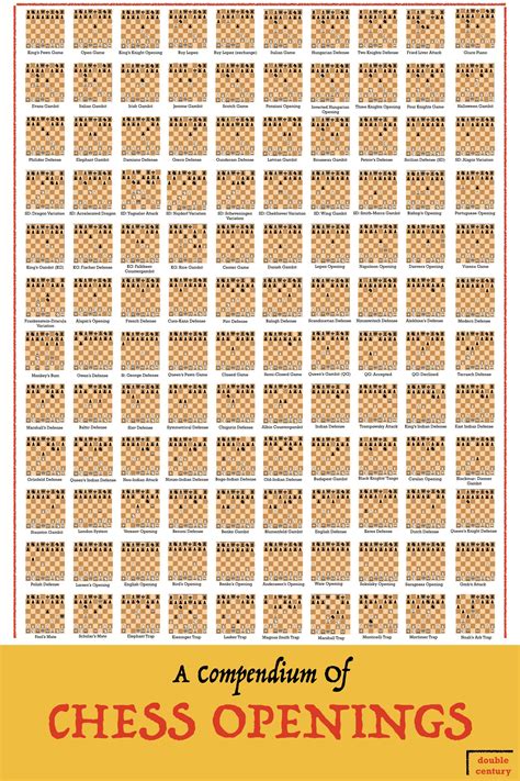 120 chess openings on a poster : Infographics