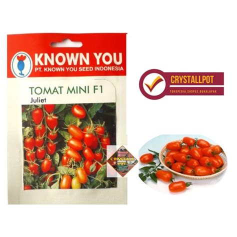 Jual Ready Benih Tanaman Super Benih Bibit Tomat Mini F Juliet Known