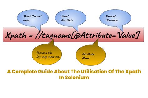 A Complete Guide About The Utilisation Of The Xpath In Selenium