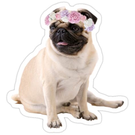 Tumblr Pug Stickers By Ohsnap Redbubble