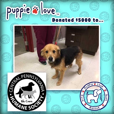 Puppie Love Partners With The Central Pa Humane Society Puppie Love