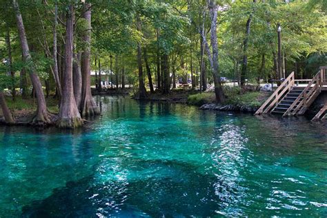11 Of Floridas Best Springs For Swimming Kayaking And Wildlife Spotting
