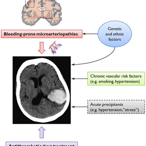 Pdf Cerebral Microbleeds On Magnetic Resonance Imaging And