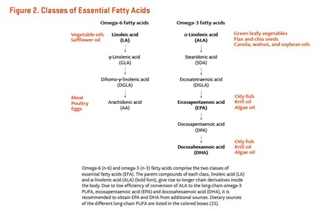 Essential Fatty Acids Nutrition Line
