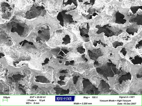 Metal Foam Has A Good Memory All Images Nsf National Science