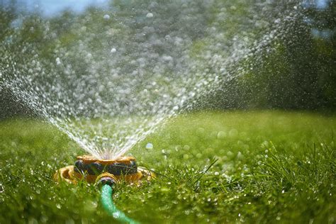 Best Lawn Sprinklers Convenient And Easy To Use Home Senator