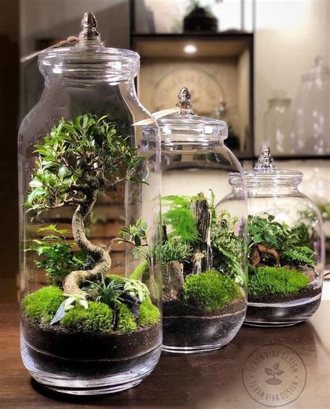 47 Innovative Diy Terrarium Ideas To Pep Up Your Home Decor Plants Terrarium Closed