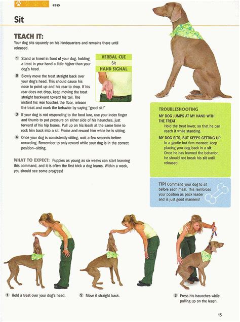 101 Dog Tricks Step By Step Activities To Engage Challenge And Bond