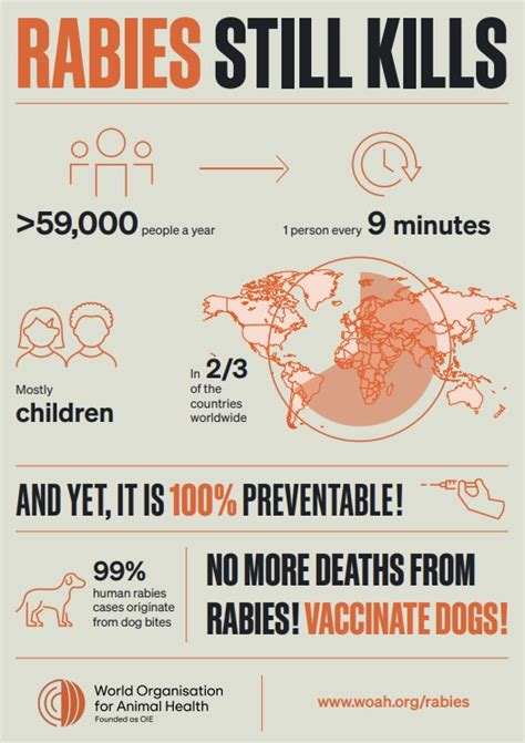 Controlling Rabies And Ending Human Rabies Deaths By 2030 In Bhutan Wrd Woah