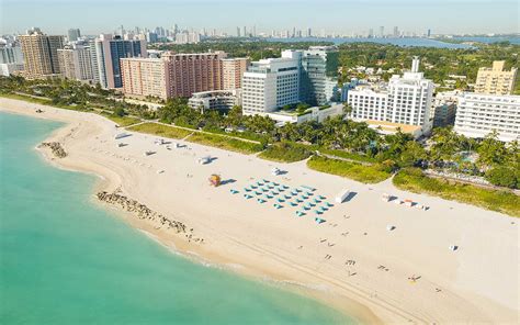 Best Site For Hotels In Miami Beach Jarzedesign