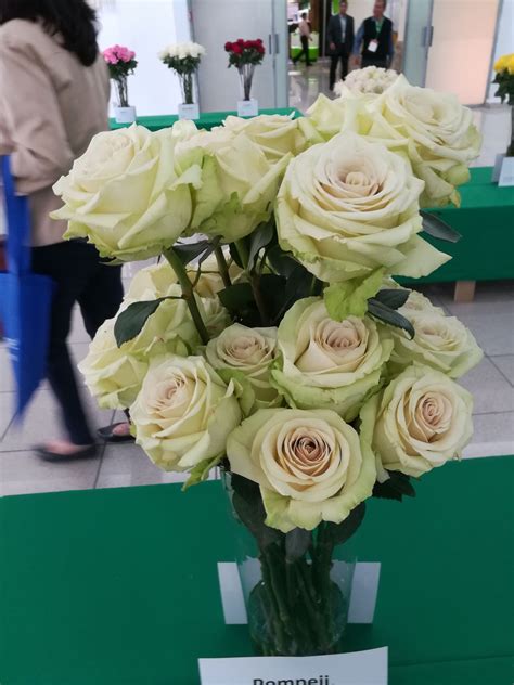Maybe you would like to learn more about one of these? Where to Buy Bulk Flowers Online for Your Wedding - #Roses ...
