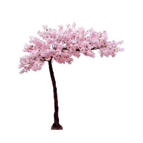 Again, planting the tree shallow on a raised bed will help extend tree life. China Indoor Silk Artificial Sakura Cherry Blossom Tree ...