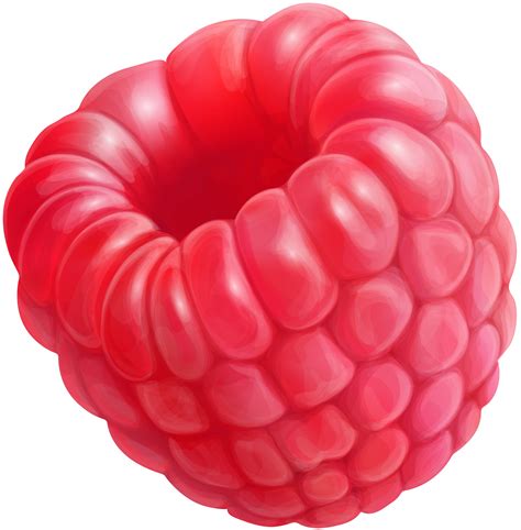 Raspberry Clip Art Png Image Gallery Yopriceville High Quality