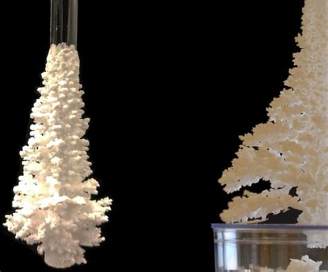 Self Amplifying Crystallization Produces A Christmas Tree Of Salt