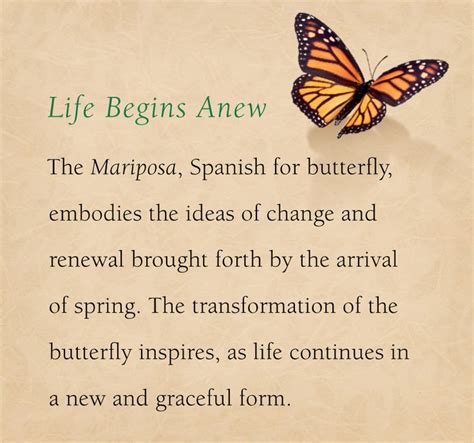 Pin By James Avery Artisan Jewelry On Butterflies Butterfly Quotes