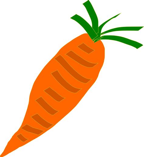 Carrot Free Stock Photo Illustration Of An Orange Carrot 16511