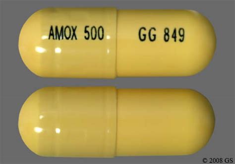 Amoxicillin Trihydrate 500mg Oral Caps 500 Ea Cap 183026