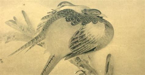 Pheasant Painting By Kayo Yamaguchi Imgur