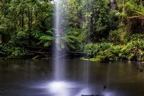 Rainforest Waterfall Samantha Ohlsen Photography