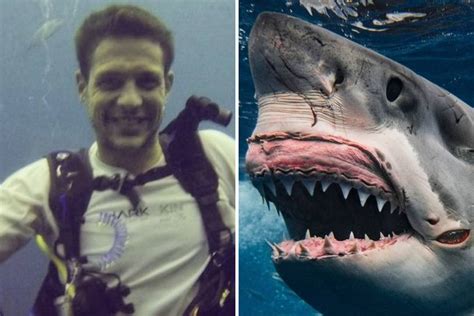 British Swimmer Torn In Half By Shark While Training For Charity Event