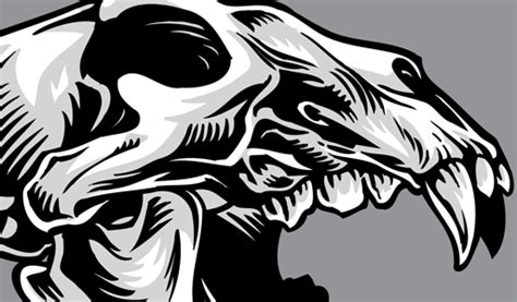 Dog Skull Vector At Getdrawings Free Download