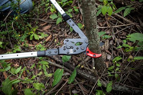 Loppers And Pruners Heavy Duty Ratcheting Extendable Lopper Branch Tree