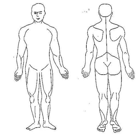 Anatomical position illustrations & vectors. 53 best Make-up blanks images on Pinterest