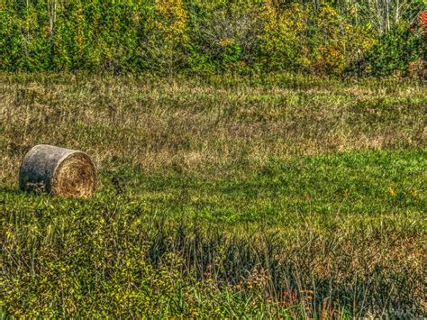 Hay Bale Free Stock Photo Public Domain Pictures