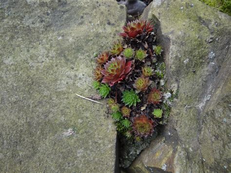 Wasser übt eine grosse anziehungskraft im garten aus. Biotope anlegen - Summende Gärten