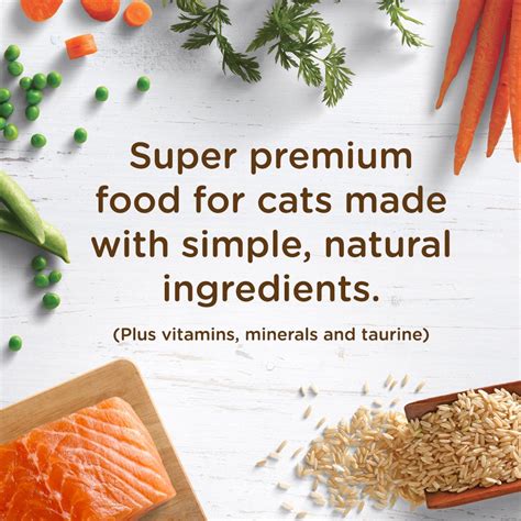 Rachael ray markets itself as a natural cat food with chicken as the top ingredient. Rachael Ray Nutrish Natural Dry Cat Food, Salmon Brown ...