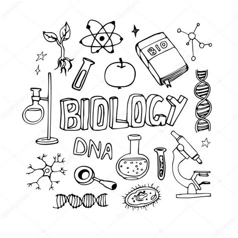 Science Icons Doodles Hand Drawn Vector Set Biology Teaching School