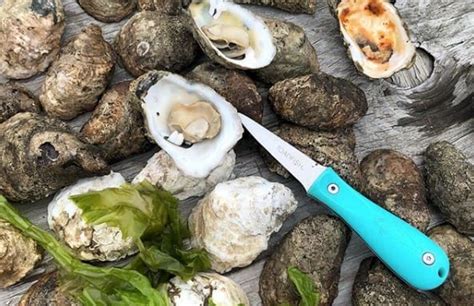 Oysters! Best of Virginia Beach - Things to Do | Virginia Beach Hotels