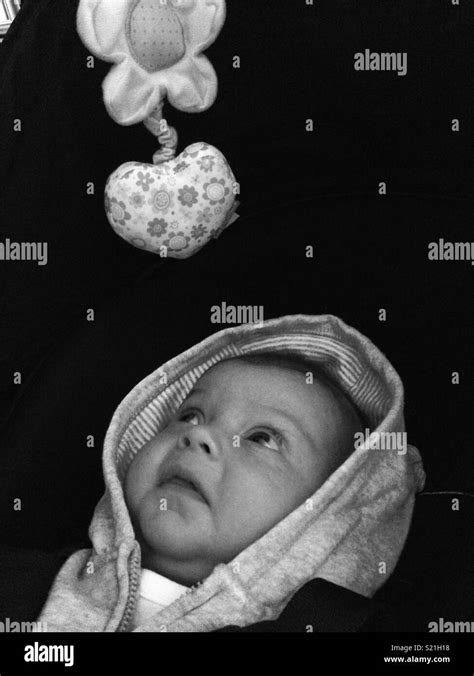 Baby Black And White Stock Photo Alamy